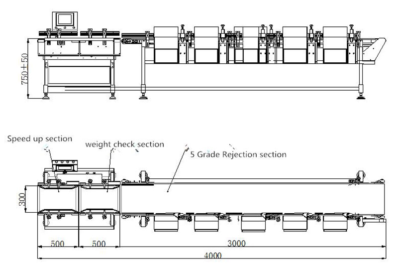 VC-M5 5grade Weight Sorting Machine Solution