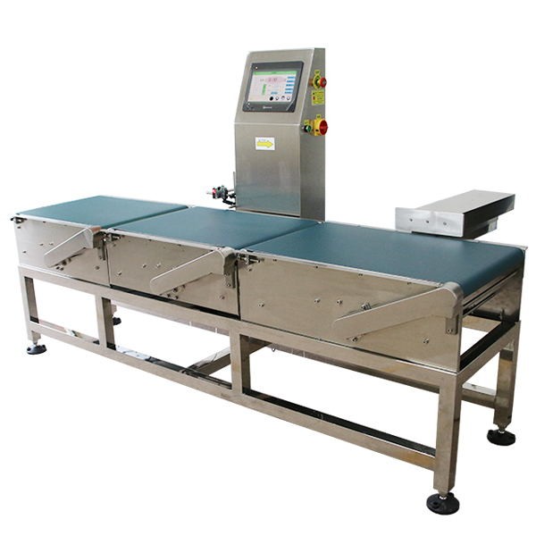 in motion checkweigher