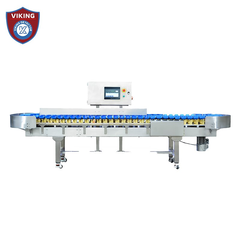 Weighing and sorting machine for the palletized seafood processing industry