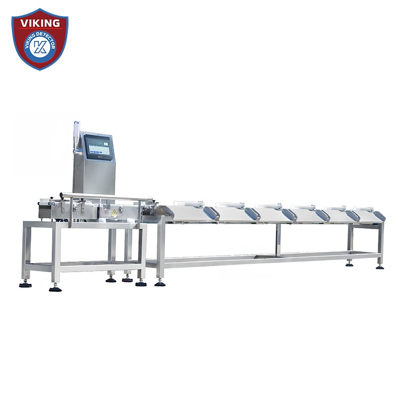 High Precision Sorting Scale for Food Processing and Accurate Weighing